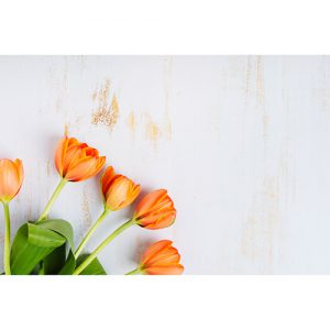 دانلود عکس با کیفیت از گل های بهاری با رنگ نارنجی