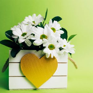 دانلود عکس با کیفیت از گل و گلدان
