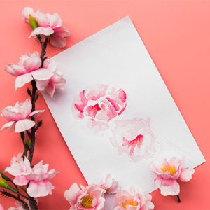 دانلود عکس با کیفیت گل های صورتی و نقاشی آبرنگ