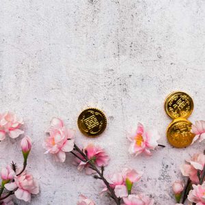 دانلود عکس با کیفیت شکوفه های صورتی گیلاس و سکه طلایی