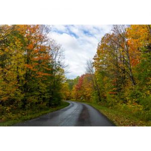 دانلود عکس با کیفیت و زیبا از جاده پاییزی